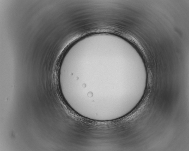 X0000111510827200908041221