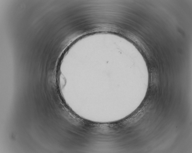 X0000111510828200908041221