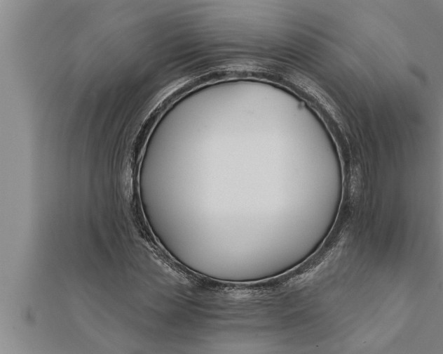 X0000111510829200908041221