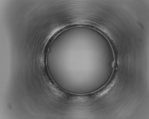 X0000111510830200908041221