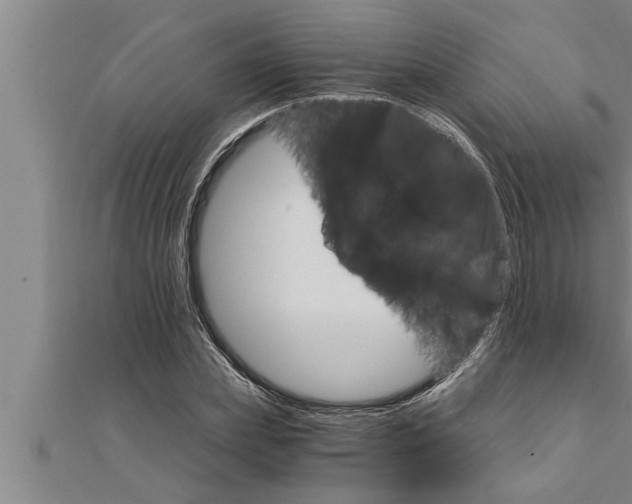 X0000111510831200908041221