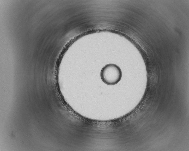 X0000111510832200908041221