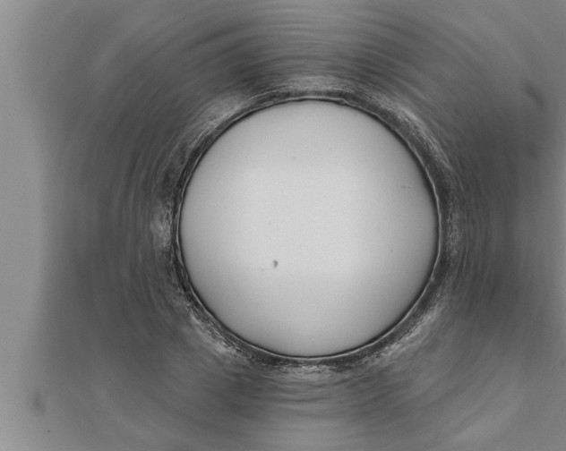 X0000111510833200908041221