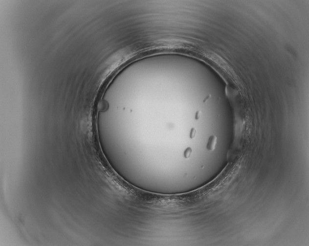 X0000111510834200908041221