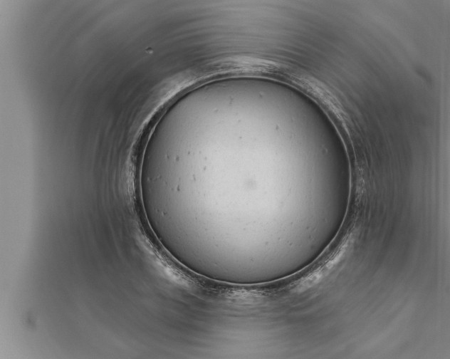 X0000111510835200908041221