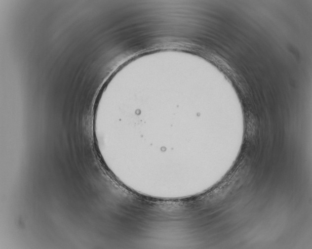 X0000111510836200908041221