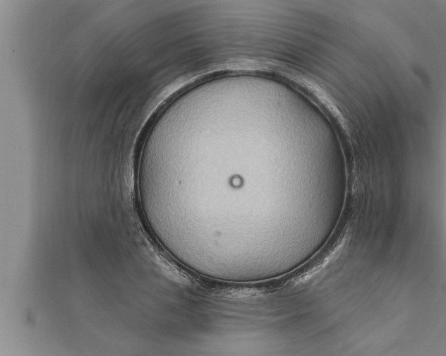 X0000111510837200908041221