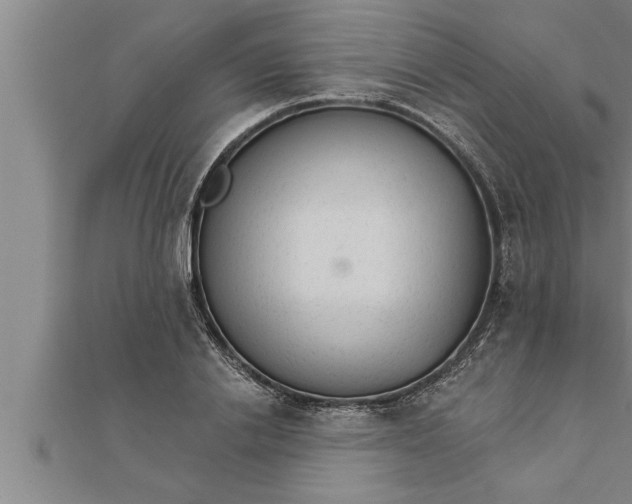 X0000111510838200908041221