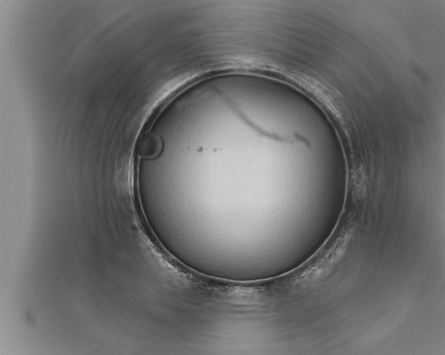 X0000111510839200908041221