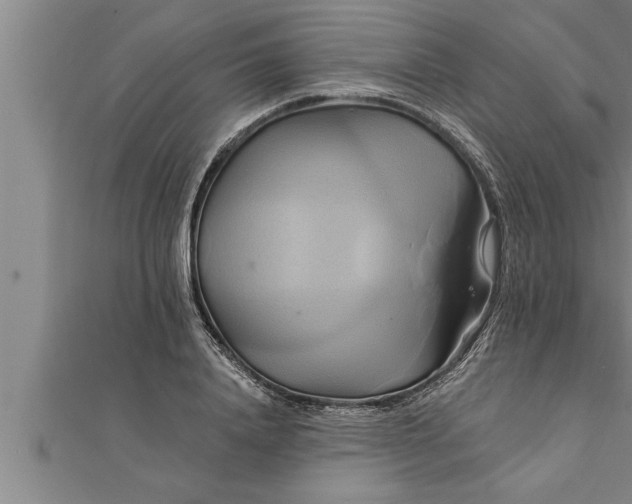 X0000111510840200908041221