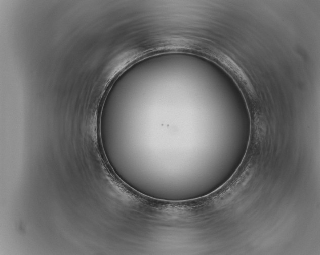 X0000111510842200908041221