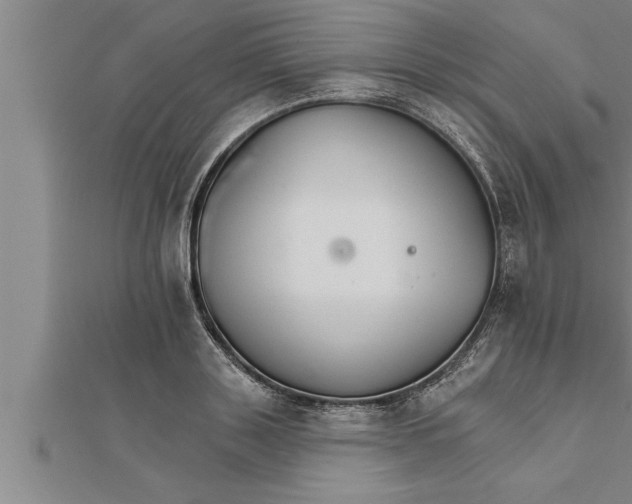 X0000111510843200908041221