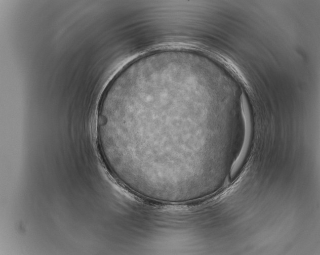 X0000111510844200908041221