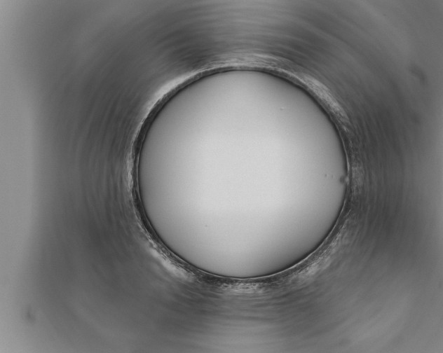 X0000111510846200908041221