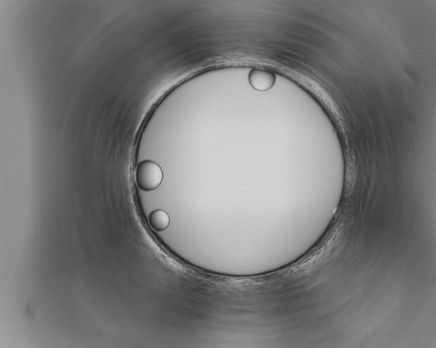 X0000111510847200908041221