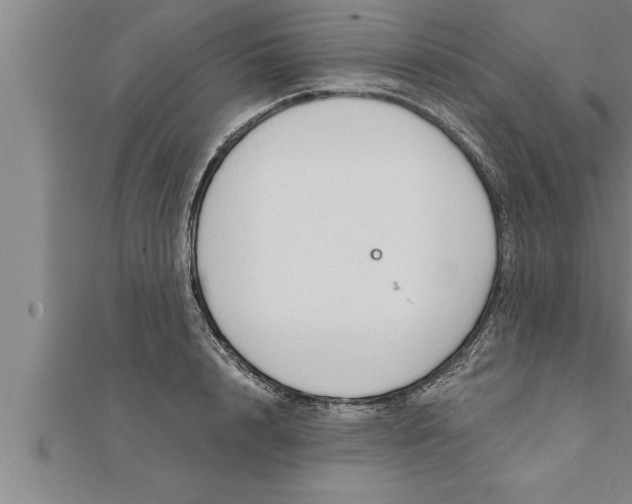 X0000111510848200908041221