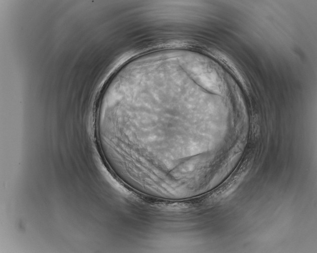 X0000111510851200908041221