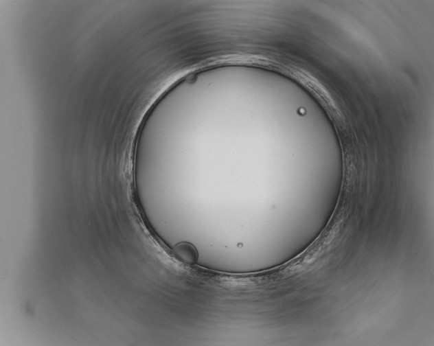 X0000111510852200908041221