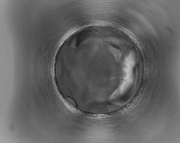 X0000111510853200908041221