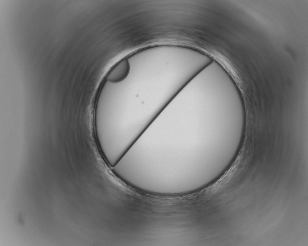 X0000111510854200908041221