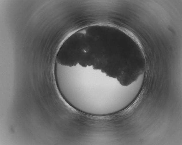 X0000111510855200908041221