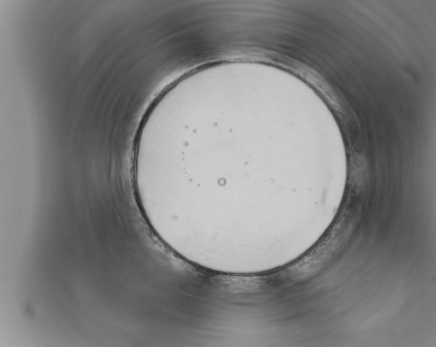 X0000111510856200908041221