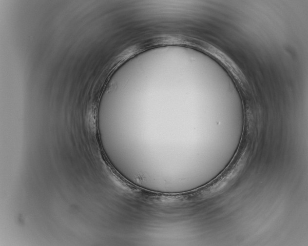 X0000111510857200908041221