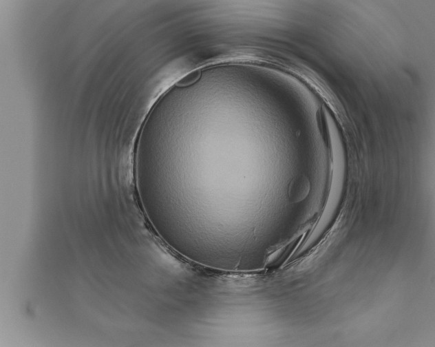 X0000111510858200908041221