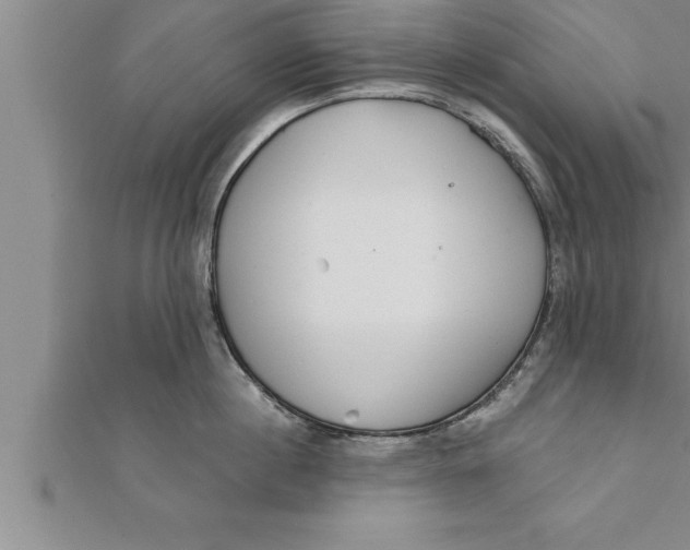 X0000111510860200908041221