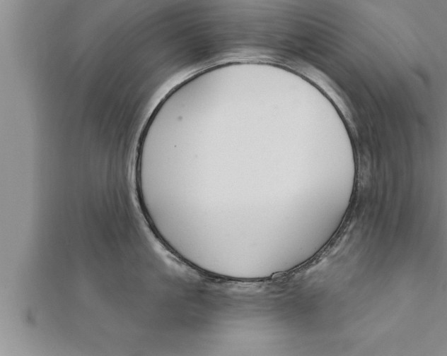 X0000111510861200908041221