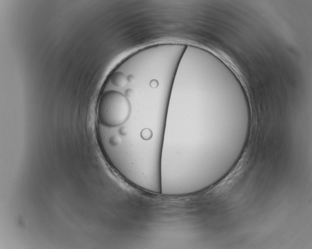 X0000111510862200908041221