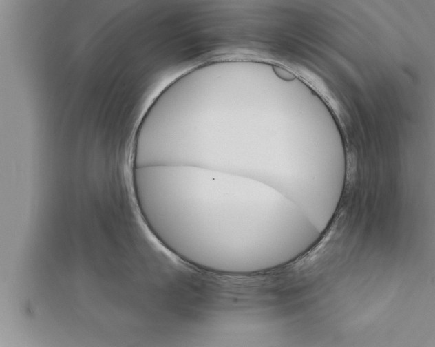 X0000111510863200908041221