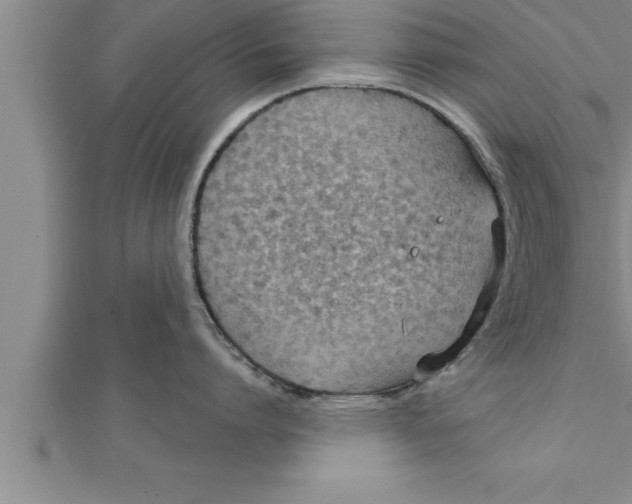 X0000111510864200908041221