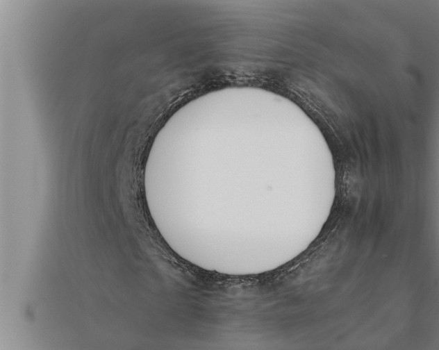 X0000111510865200908041221