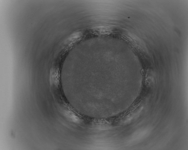 X0000111510866200908041221