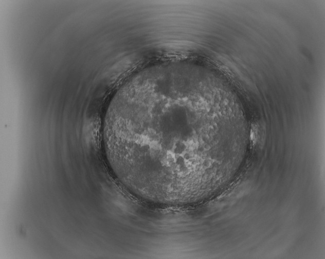 X0000111510867200908041221