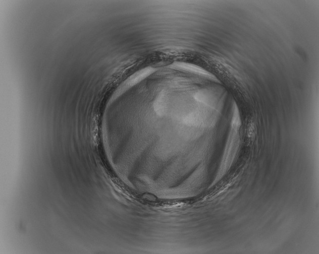 X0000111510868200908041220