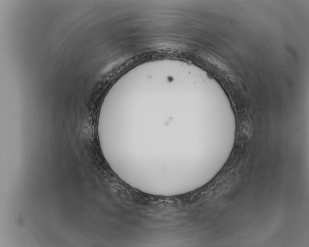 X0000111510869200908041220