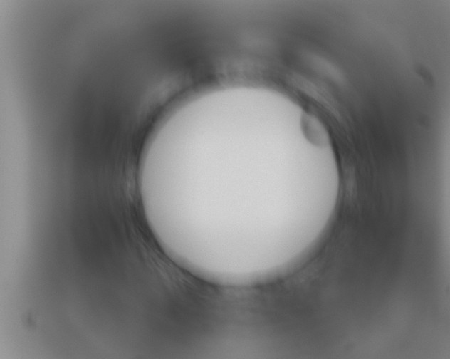 X0000111510870200908041220