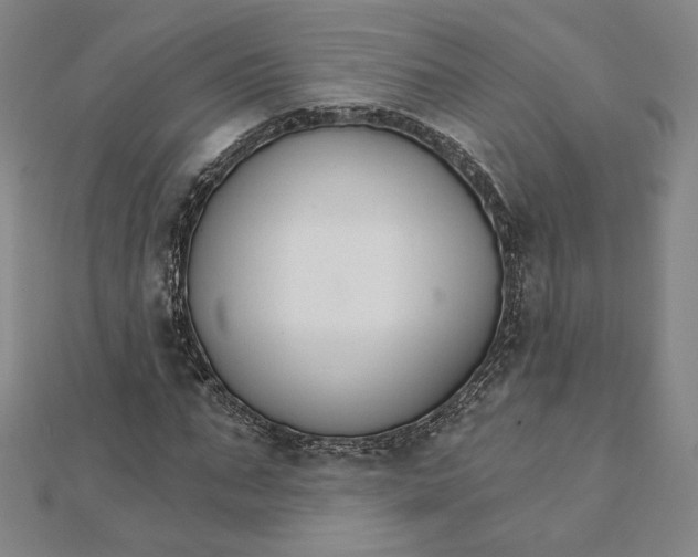 X0000111510871200908041220