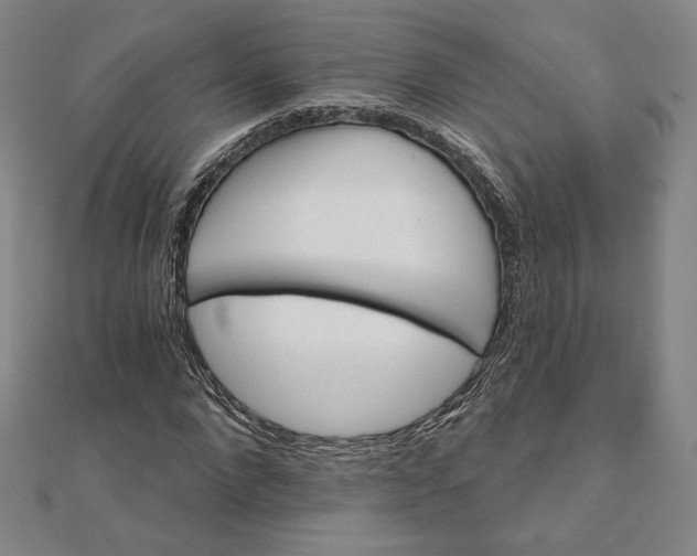 X0000111510872200908041220