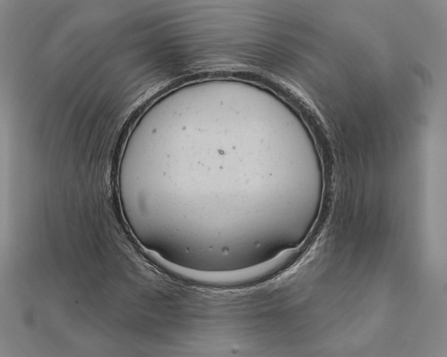 X0000111510873200908041220