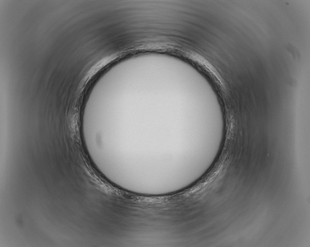 X0000111510874200908041220