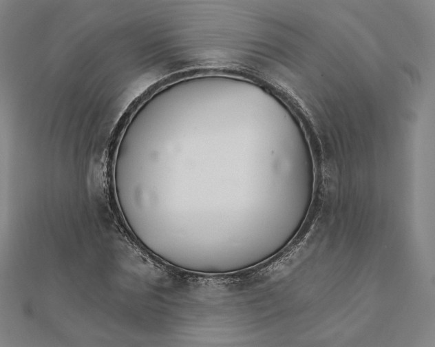 X0000111510875200908041220