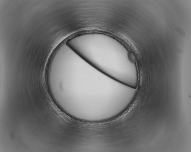 X0000111510876200908041220