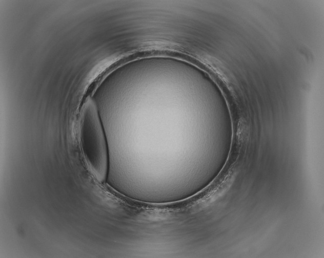 X0000111510877200908041220