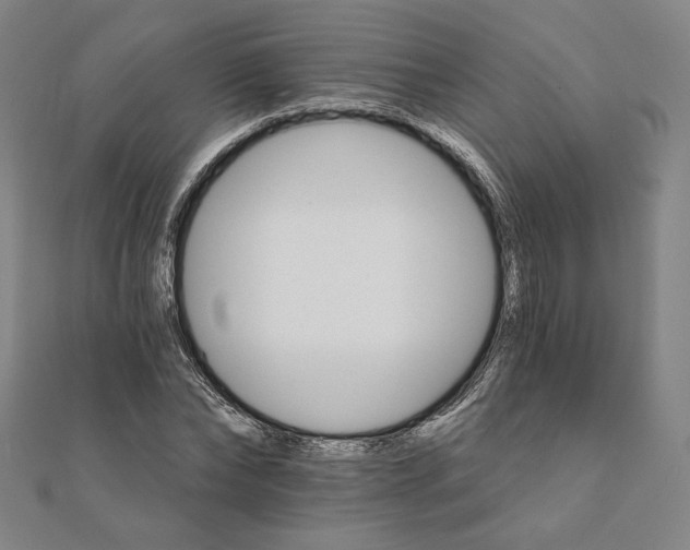 X0000111510878200908041220