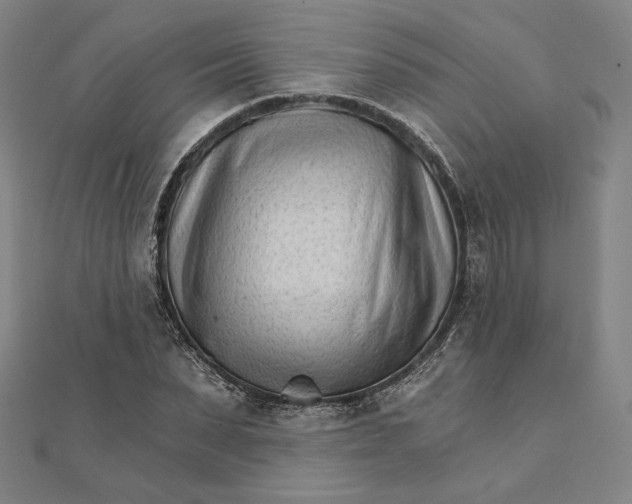 X0000111510879200908041220