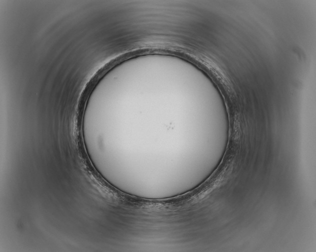 X0000111510880200908041220