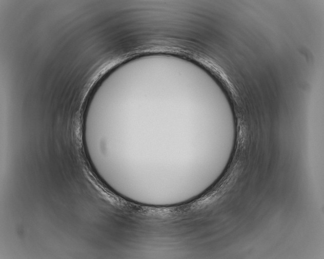 X0000111510882200908041220